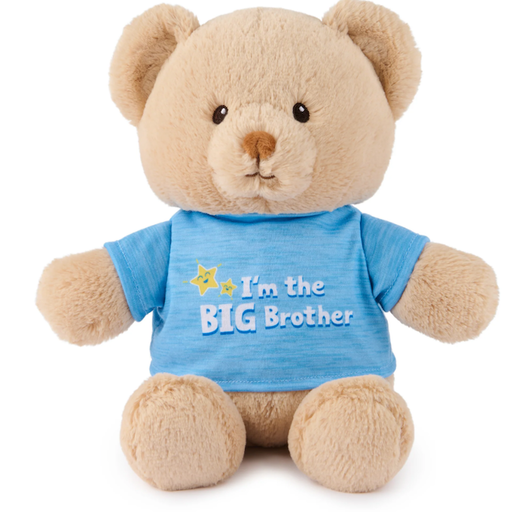 Gund I'm A Big Brother Bear, Blue