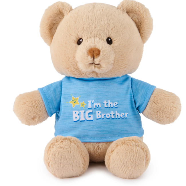 Gund I'm A Big Brother Bear, Blue