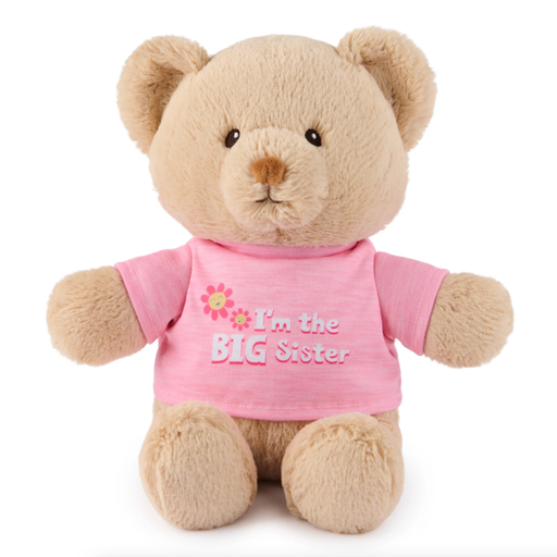Gund I'm A Big Sister Bear, Pink
