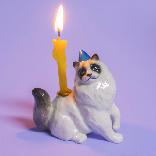 Camp Hollow Ragdoll Cat Cake Topper