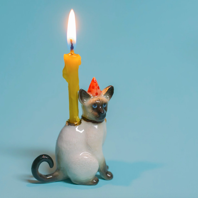 Camp Hollow Siamese Cat Cake Topper