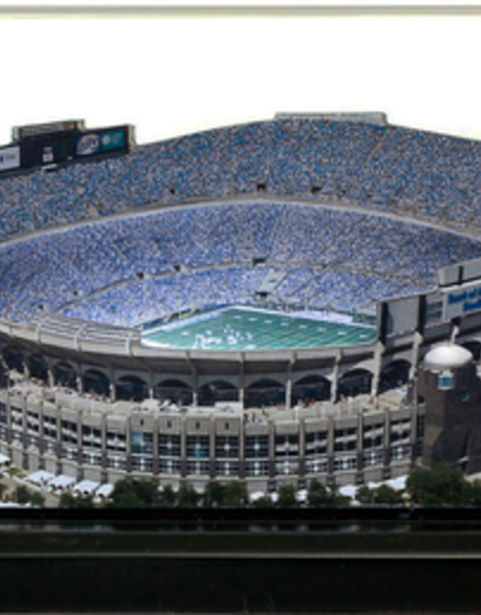 HOMEFIELDS Panthers HomeField - Bank of America Stadium 9IN