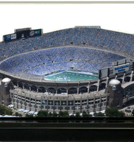HOMEFIELDS Panthers HomeField - Bank of America Stadium 9IN