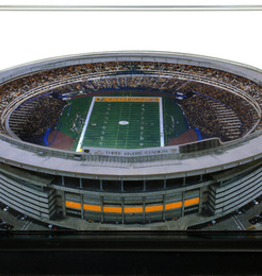 HOMEFIELDS Steelers HomeField - Three Rivers Stadium (1970-2000) 9IN