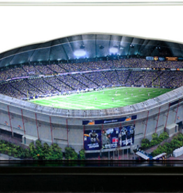 HOMEFIELDS Vikings HomeField - Metrodome (1982-2013) 9IN