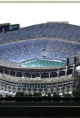 HOMEFIELDS Panthers HomeField - Bank of America Stadium 13IN