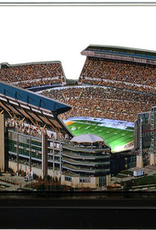 HOMEFIELDS Steelers HomeField - Heinz Field 13IN