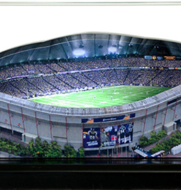 HOMEFIELDS Vikings HomeField - Metrodome (1982-2013) 13IN