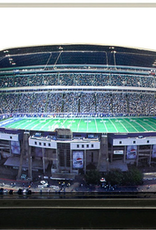 HOMEFIELDS Cowboys HomeField - Texas Stadium (1971-2008) 19IN