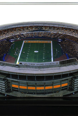 HOMEFIELDS Steelers HomeField - Three Rivers Stadium (1970-2000) 13IN