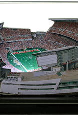 HOMEFIELDS Bengals HomeField - Paul Brown Stadium 19IN