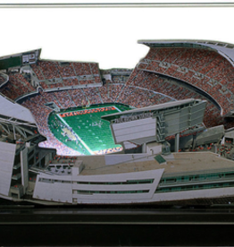 HOMEFIELDS Bengals HomeField - Paul Brown Stadium 19IN