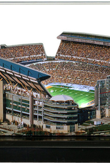 HOMEFIELDS Steelers HomeField - Heinz Field 9IN