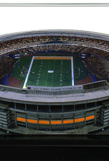 HOMEFIELDS Steelers HomeField - Three Rivers Stadium (1970-2000) 19IN