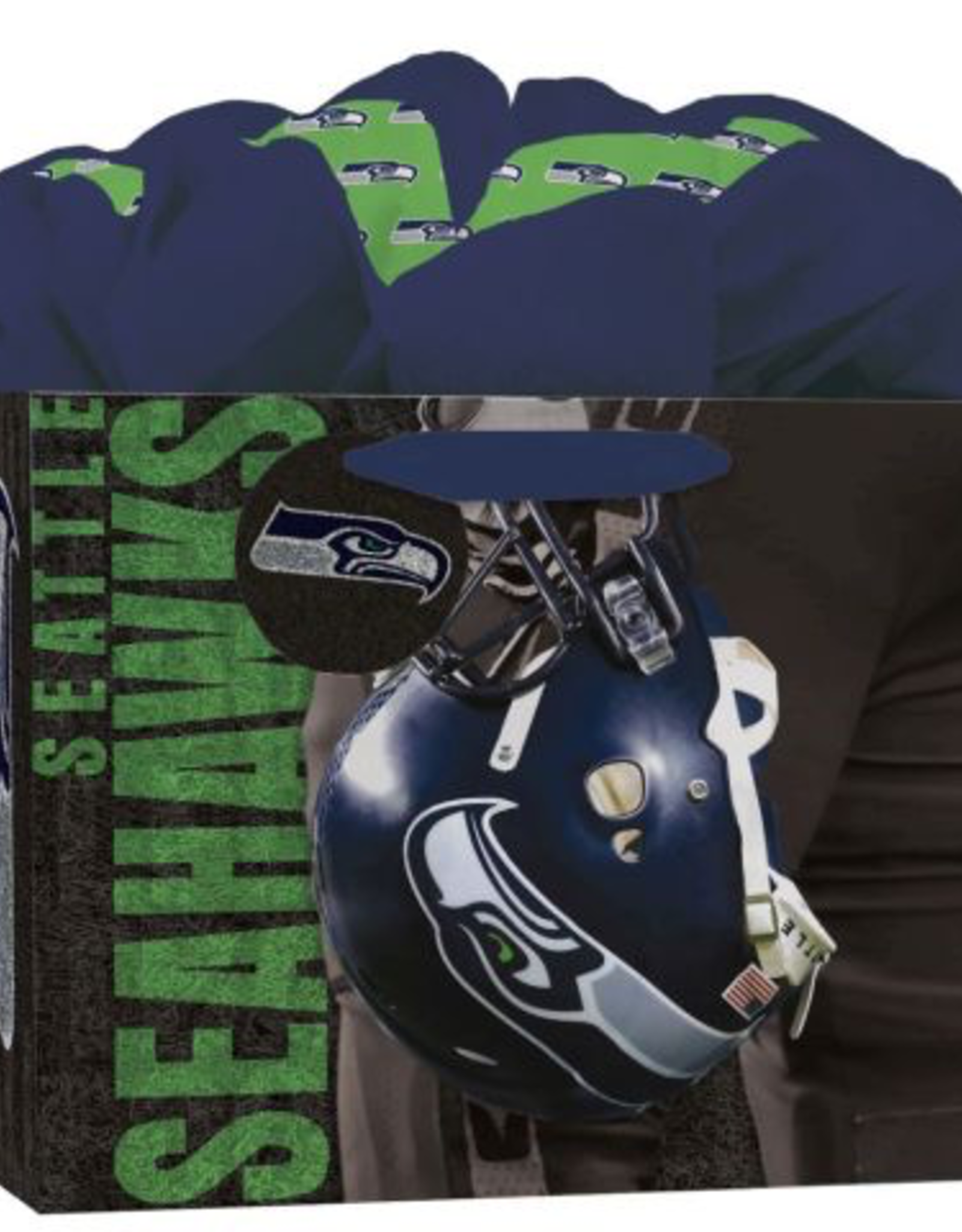 JF TURNER & CO Seahawks Medium Gift Bag