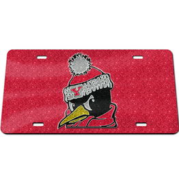 WINCRAFT Youngstown State Penguins Red Glitter Plate Frame