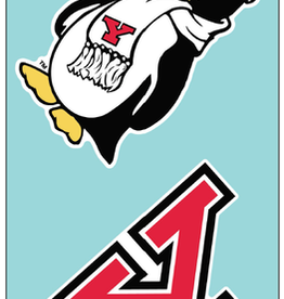 WINCRAFT Youngstown State Penguins 2-Pack 4x4 Decals