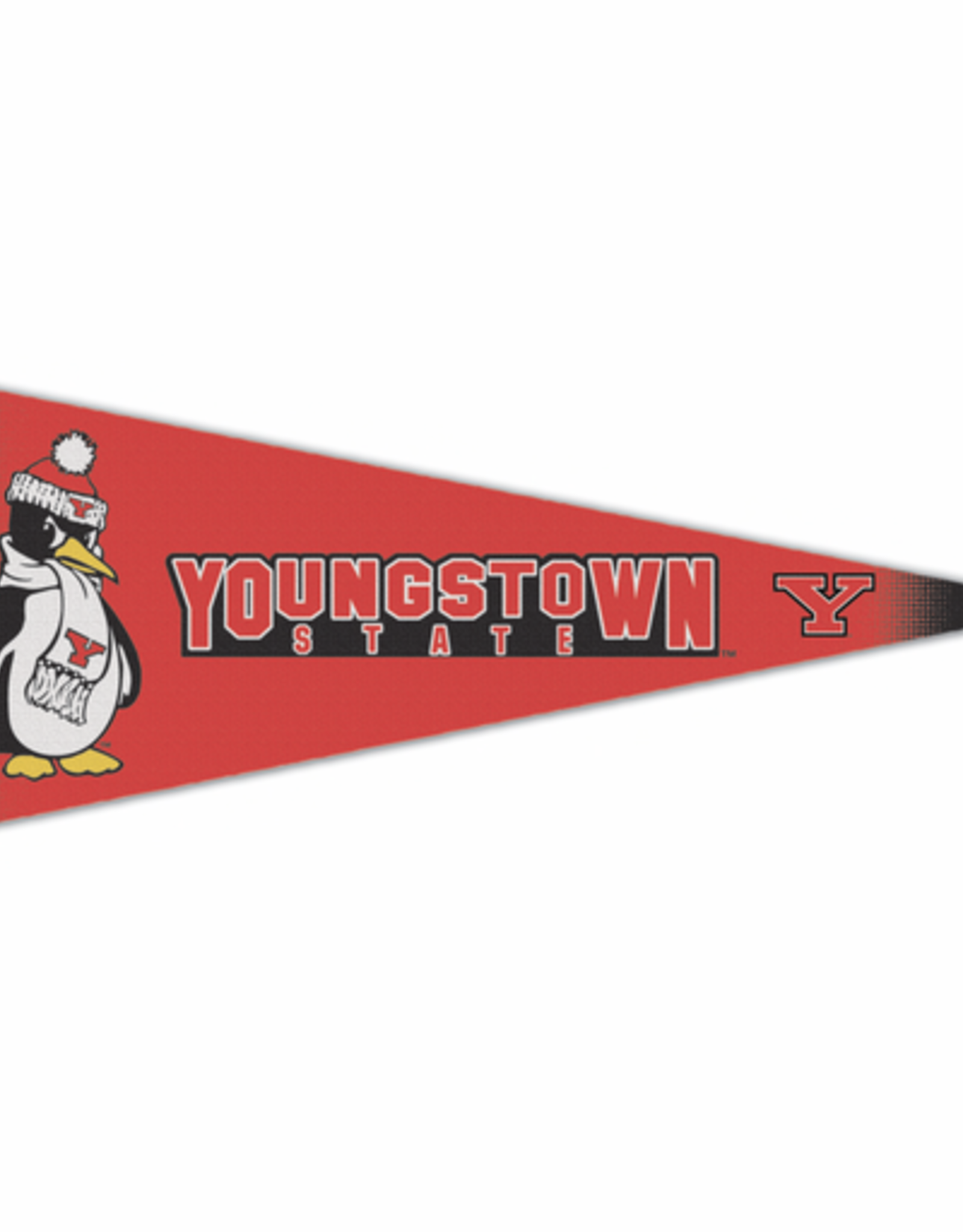 WINCRAFT Youngstown State Penguins Premium Pennant