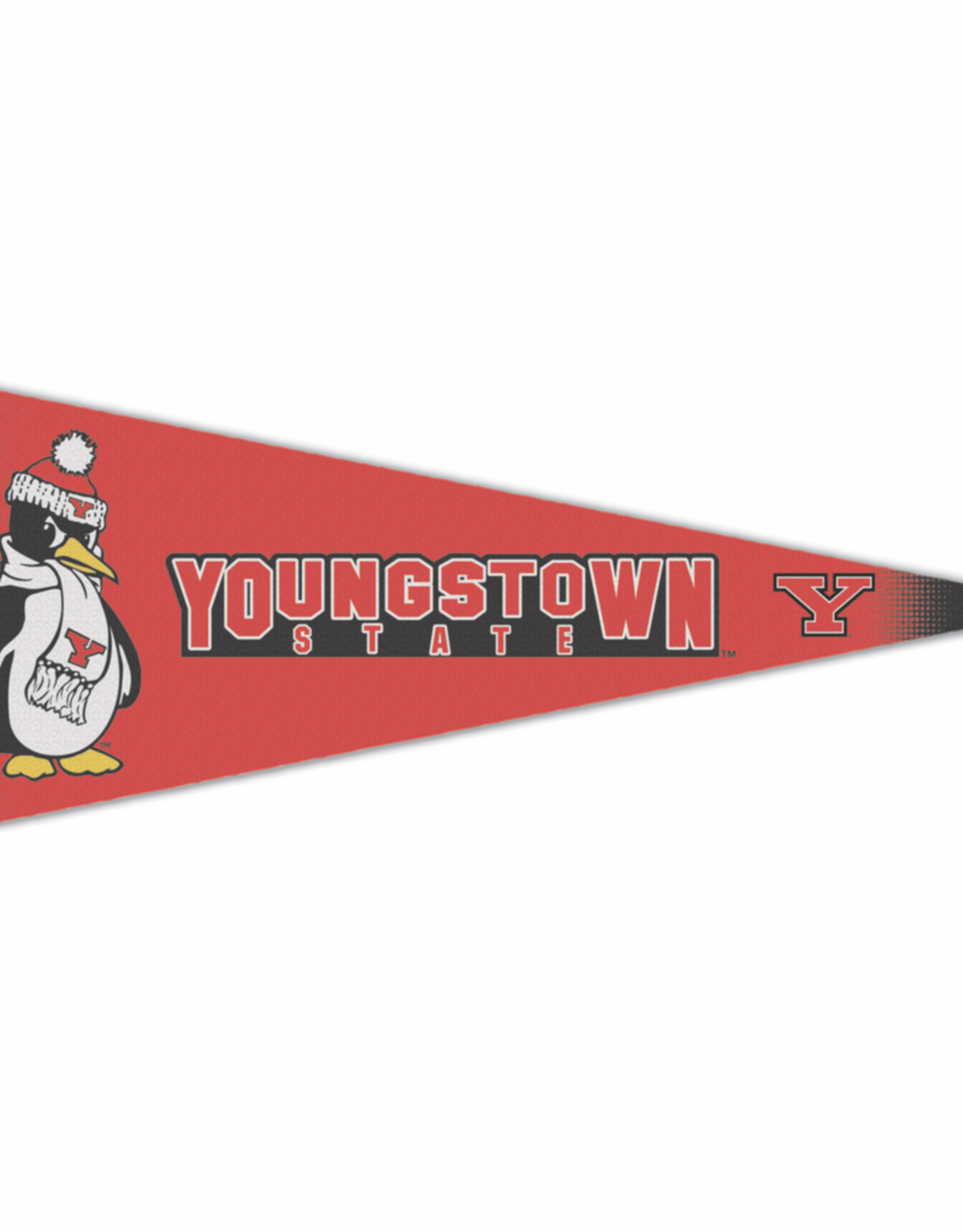 WINCRAFT Youngstown State Penguins Premium Pennant