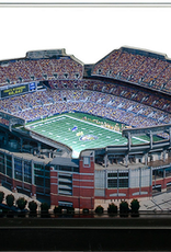 HOMEFIELDS Ravens HomeField - M&T Bank Stadium 9IN