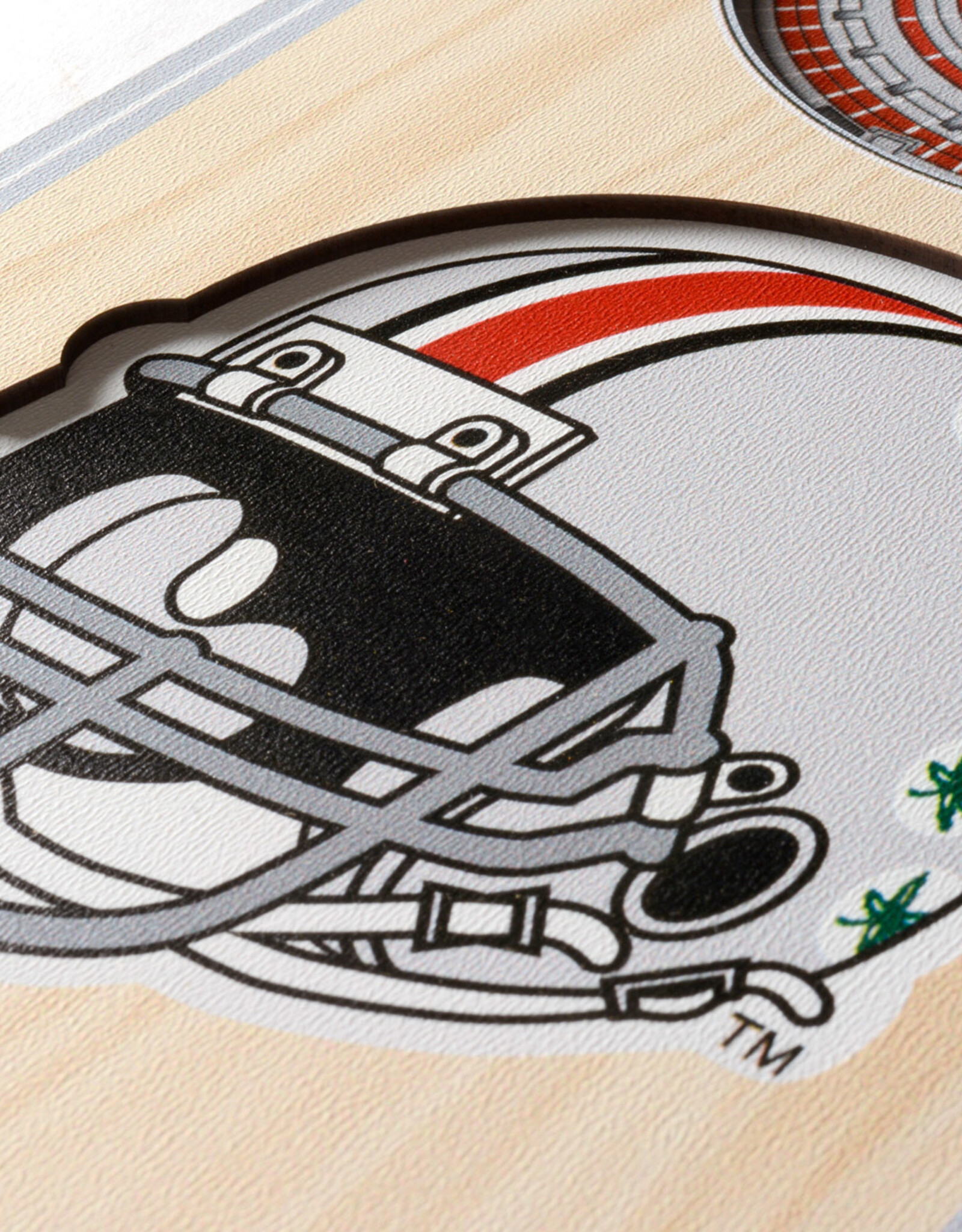 YOU THE FAN Ohio State Buckeyes 3D StadiumView 6x19 Banner