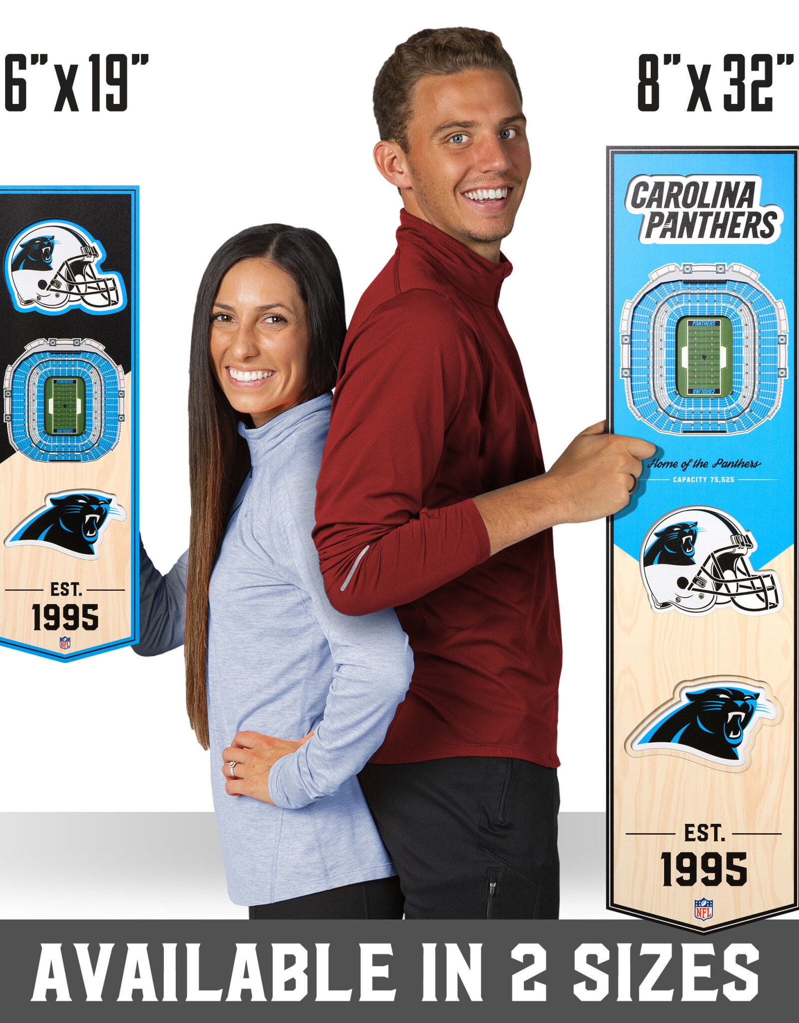 YOU THE FAN Carolina Panthers 3D StadiumView 6x19 Banner