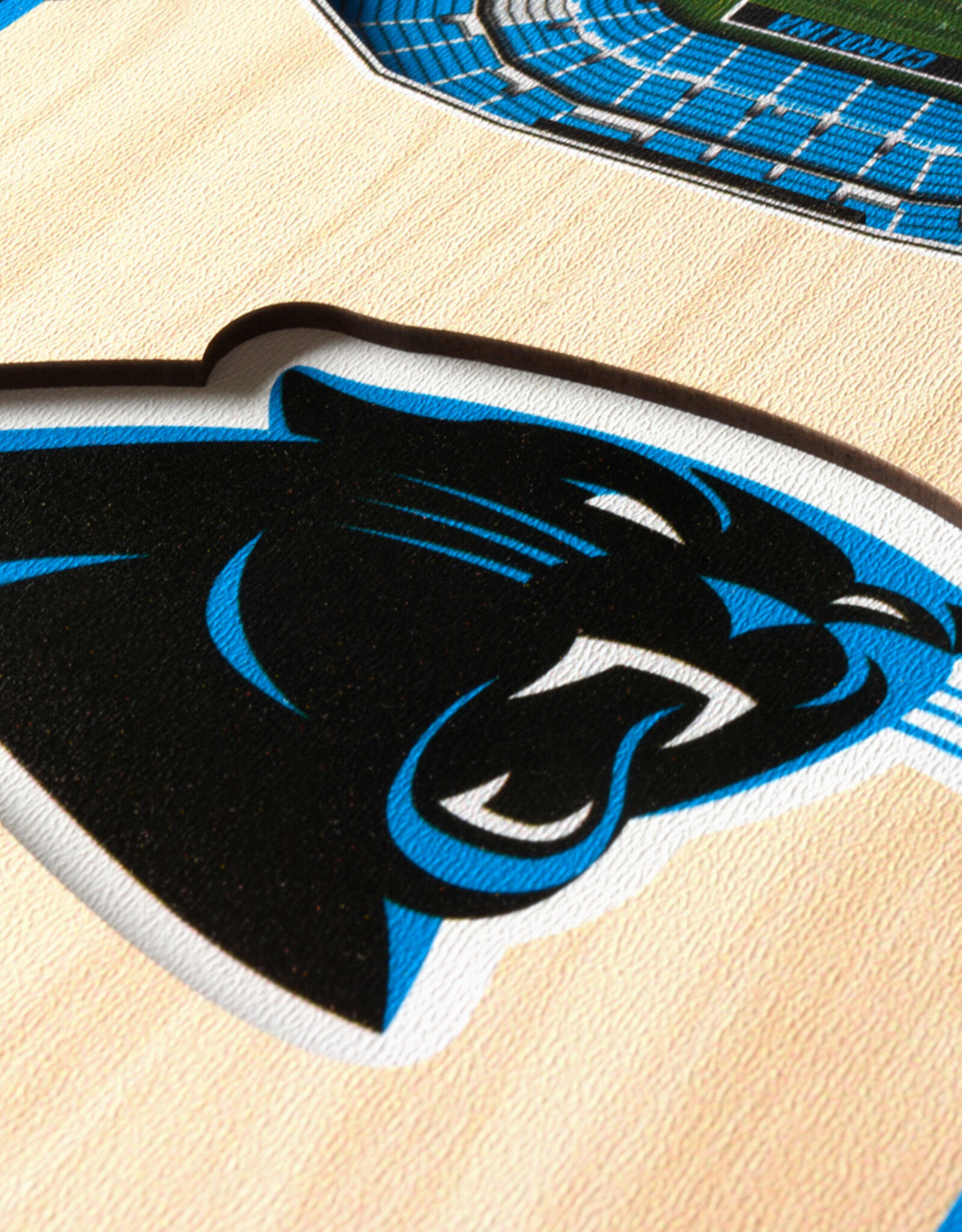 YOU THE FAN Carolina Panthers 3D StadiumView 6x19 Banner