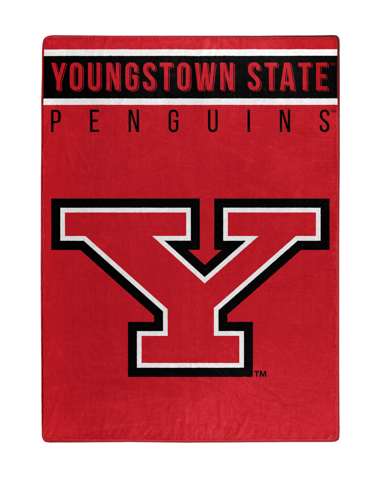 Northwest Youngstown State Penguins 60X80 Royal Plush Blanket