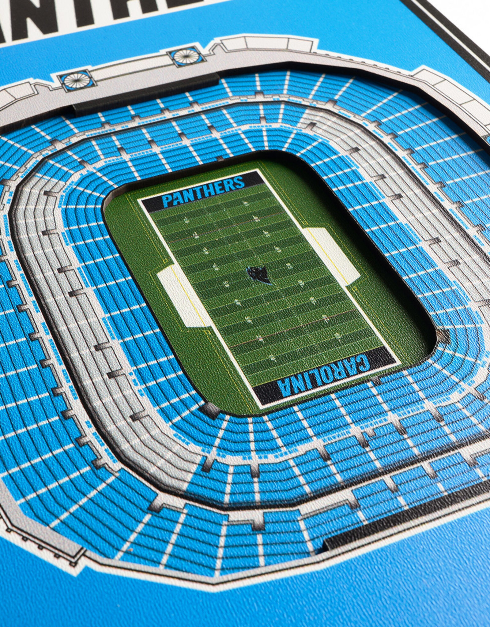 YOU THE FAN Carolina Panthers 3D StadiumView 8x32 Banner