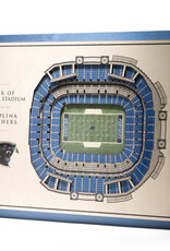 YOU THE FAN Carolina Panthers 5-Layer 3D StadiumView Wall Art