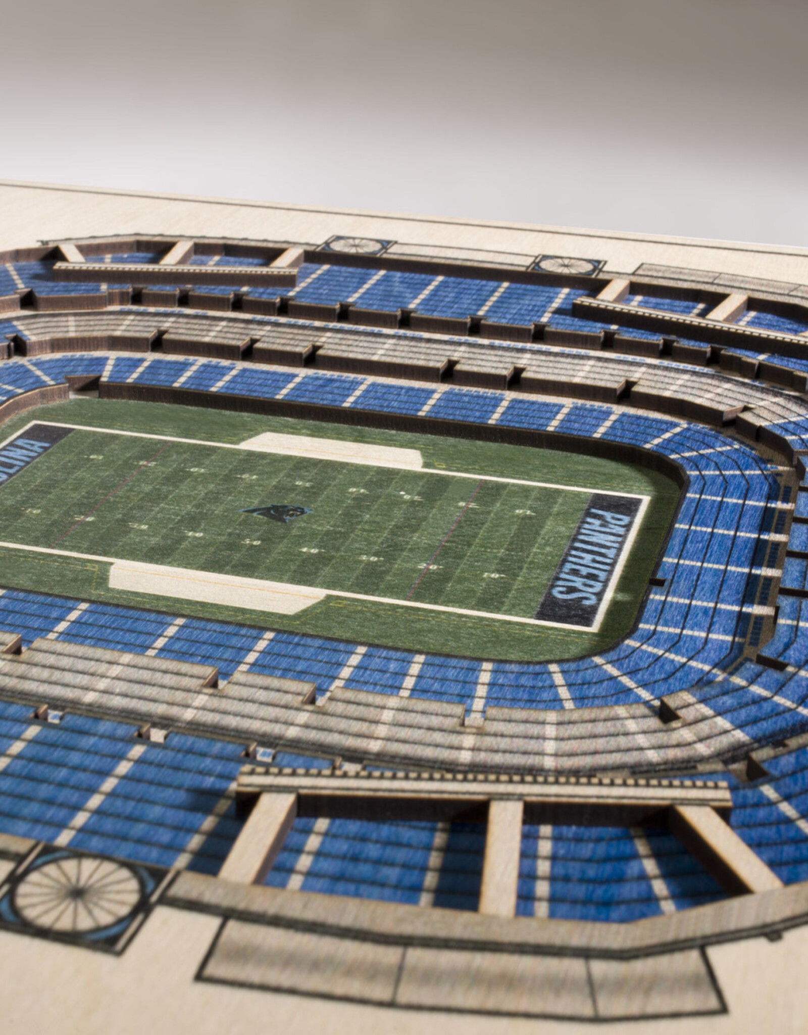 YOU THE FAN Carolina Panthers 5-Layer 3D StadiumView Wall Art