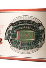 YOU THE FAN Cincinnati Bengals 5-Layer 3D StadiumView Wall Art