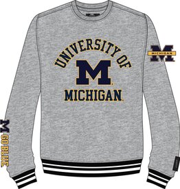 Pro Standard Michigan Wolverines Men's Classic Stacked Logo Pullover Crew - Grey