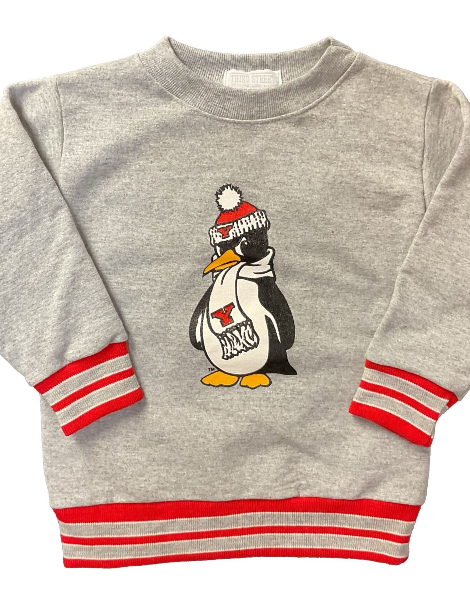 THIRD STREET SPORTSWEAR Youngstown State Penguins Youth University Crew