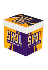 EVERGREEN Minnesota Vikings 14oz Gift Boxed Mug