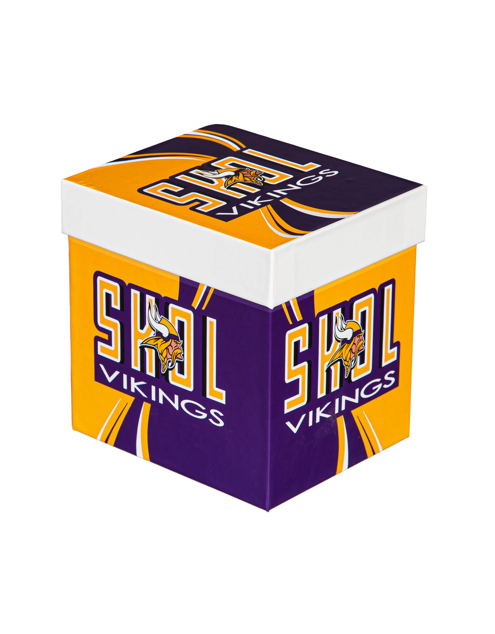 EVERGREEN Minnesota Vikings 14oz Gift Boxed Mug