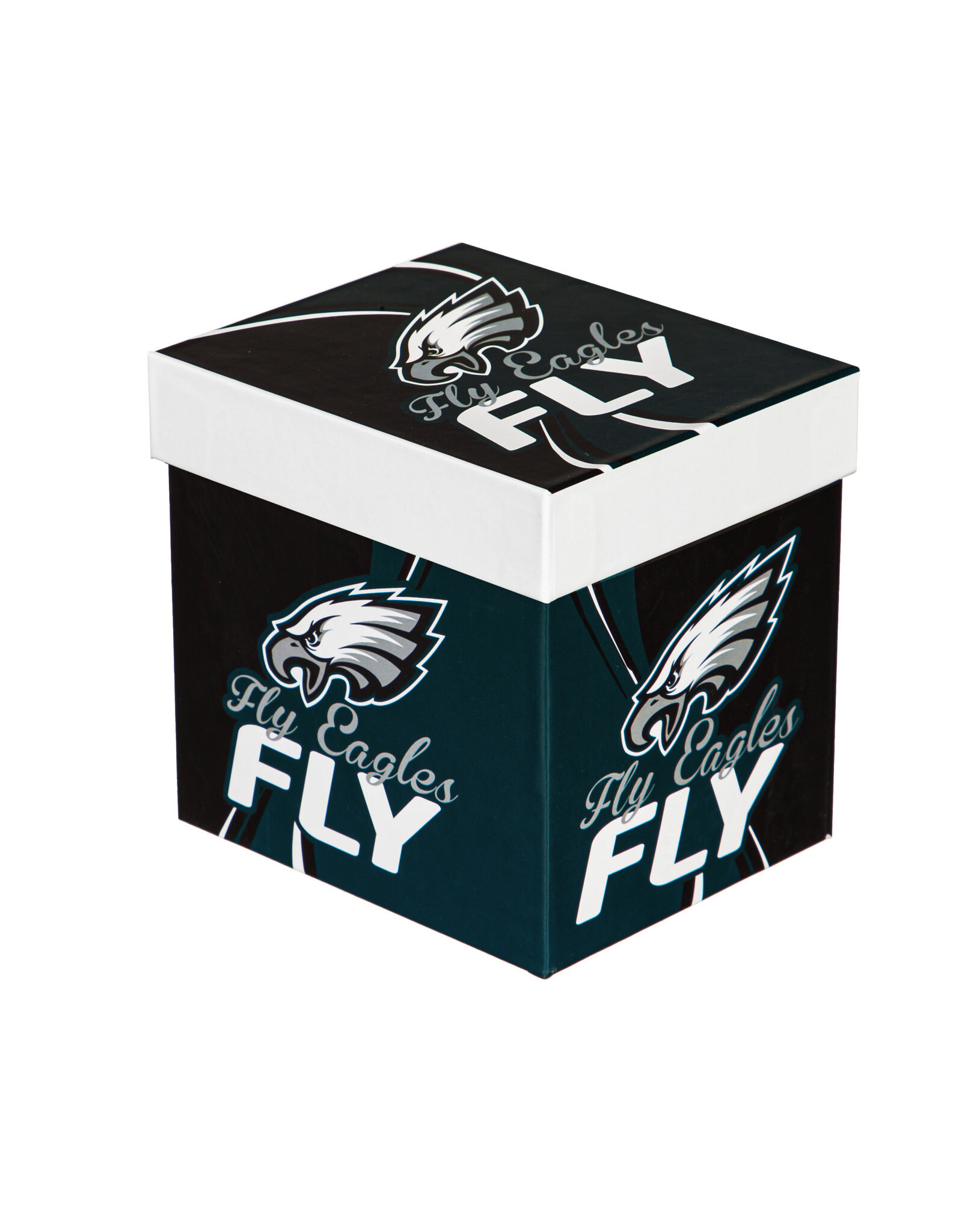 EVERGREEN Philadelphia Eagles 14oz Gift Boxed Mug
