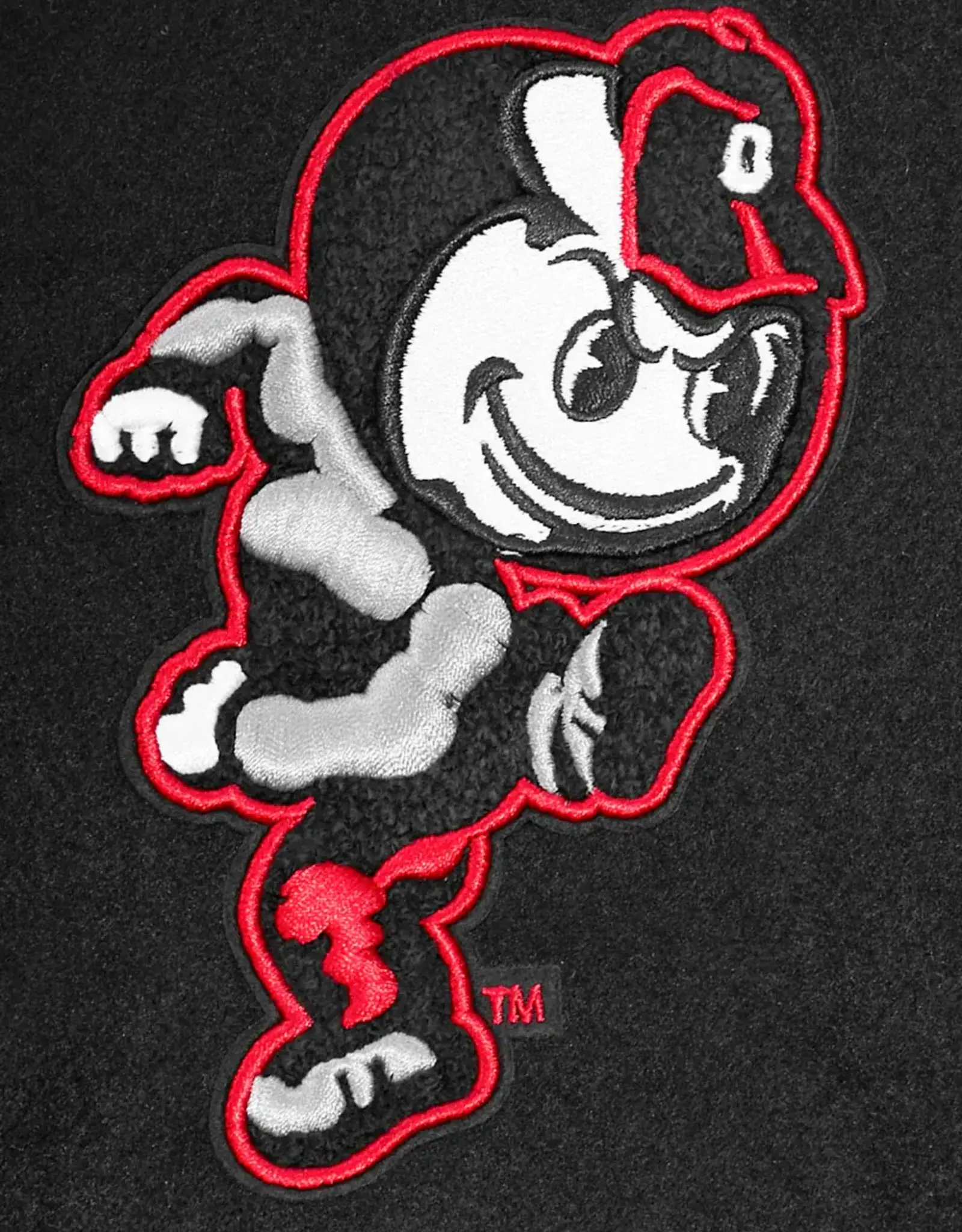 Pro Standard Ohio State Buckeyes Men's Classic Wool Varsity Jacket