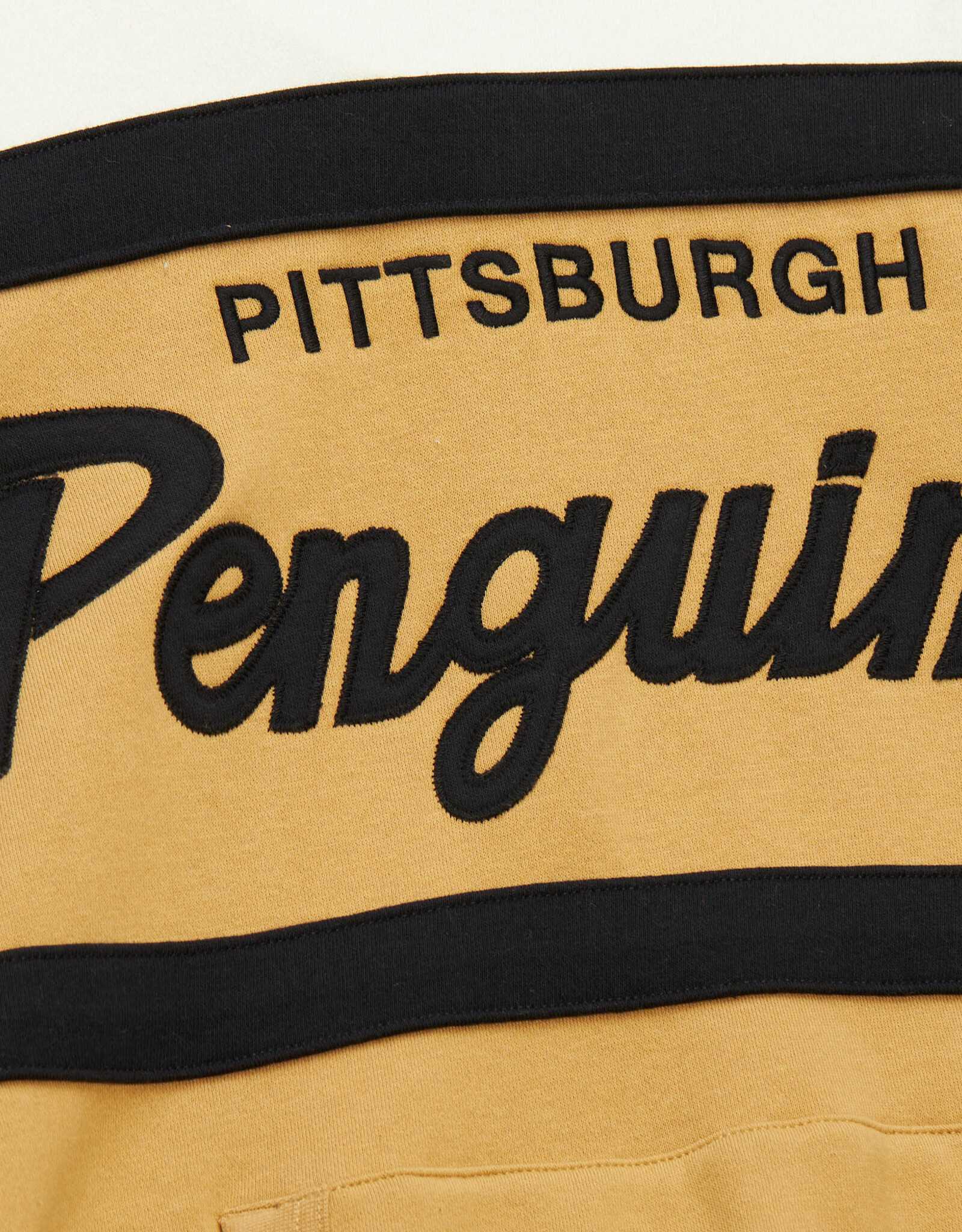 Mitchell & Ness Pittsburgh Penguins Men's Head Coach Pullover Hoodie