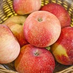 Paula Red - Panier de pommes (4 lbs)