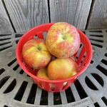 Mc Intosh - Panier de pommes