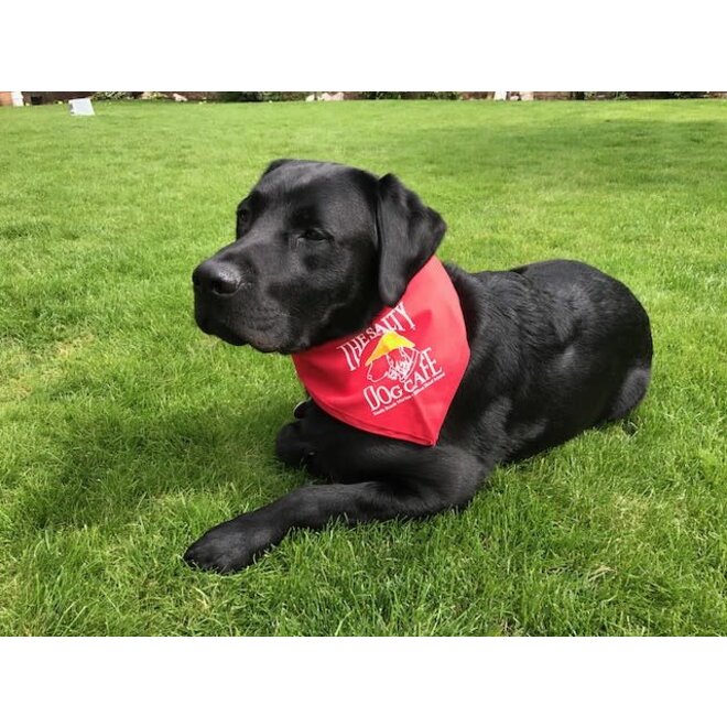 Bandana Red