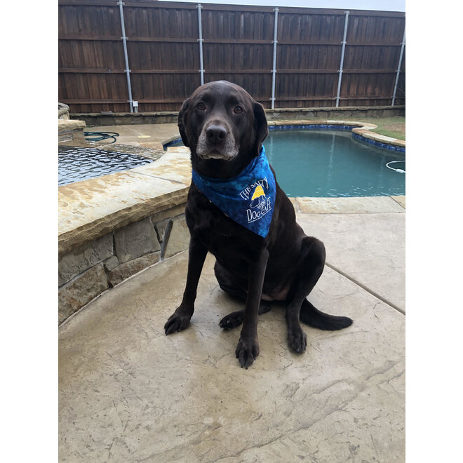 Bandana Blue Tie-Dye Large (20-80lbs)