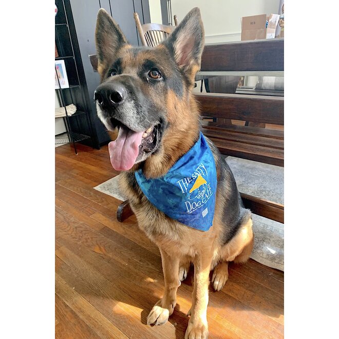 Bandana Blue Tie-Dye Large (20-80lbs)