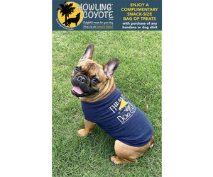 Notre dame dog clothes online