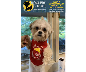 ⁠【極美品】DYOG　ラインストーンゲームシャツ　XU　DOG　XL⁠ doggie-shirt-red.jpg