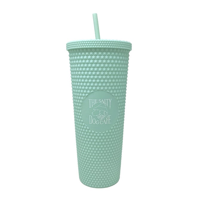 24oz Studded Tumbler w/ Lid & Straw Mint