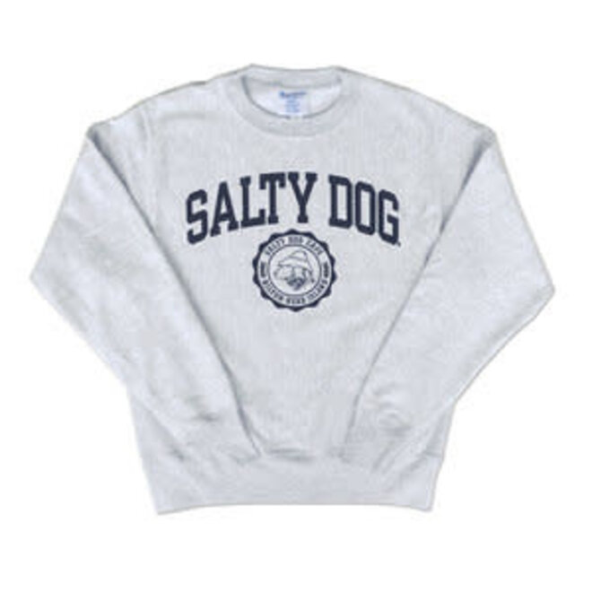 Sweatshirt-Youth Rev Weave Silver Grey