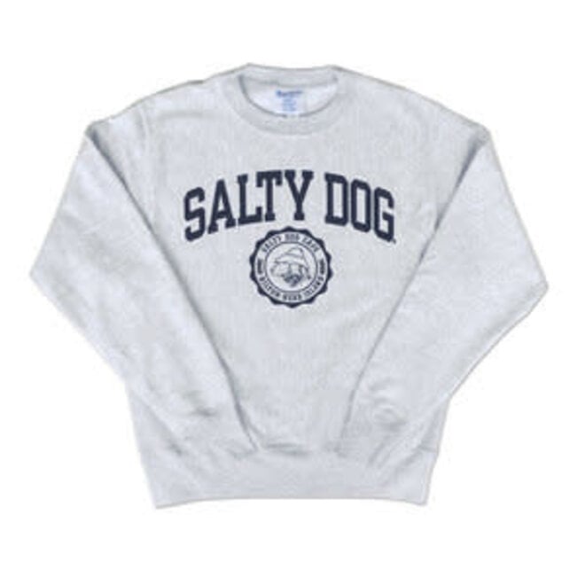 Sweatshirt-Youth Rev Weave Silver Grey