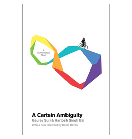 A Certain Ambiguity: A Mathematical Novel (Fiction)